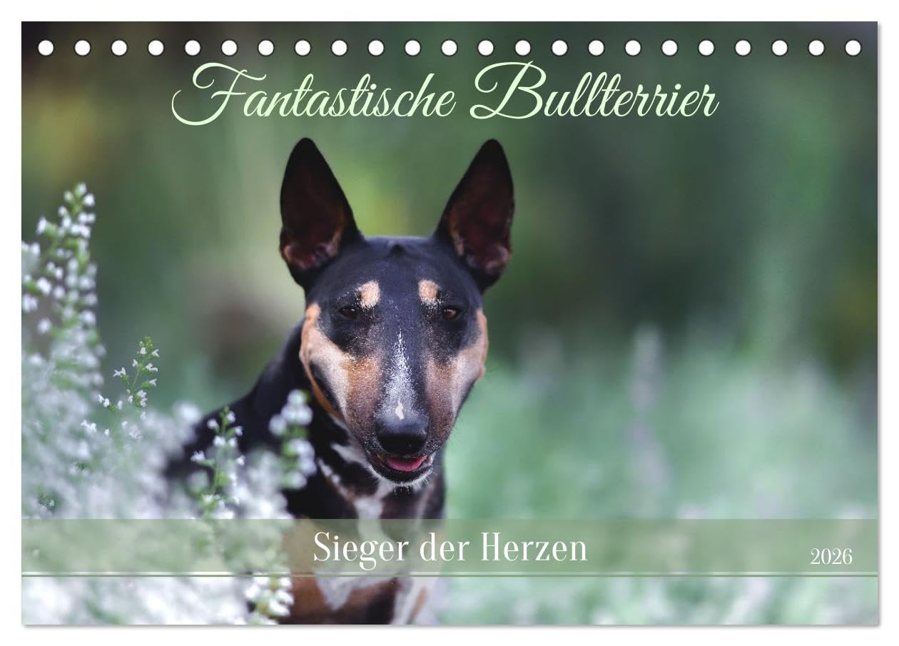 Fantastische Bullterrier - Sieger im Herzen (Tischkalender 2026 DIN A5 quer), CALVENDO Monatskalender Medicine