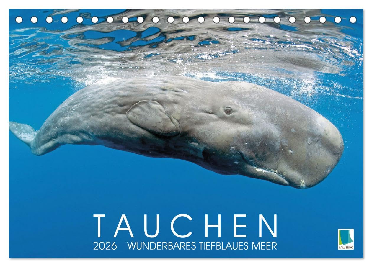 Tauchen: Wunderbares tiefblaues Meer (Tischkalender 2026 DIN A5 quer), CALVENDO Monatskalender Leisure, Home & Garden