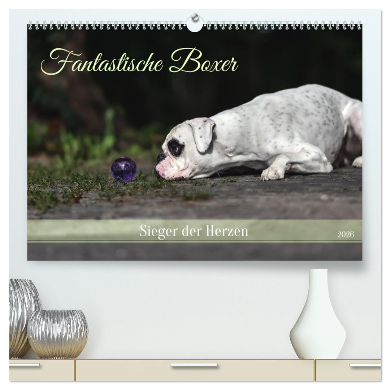 Fantastische Boxer - Sieger der Herzen (hochwertiger Premium Wandkalender 2026 DIN A2 quer), Kunstdruck in Hochglanz Film, Art & Culture