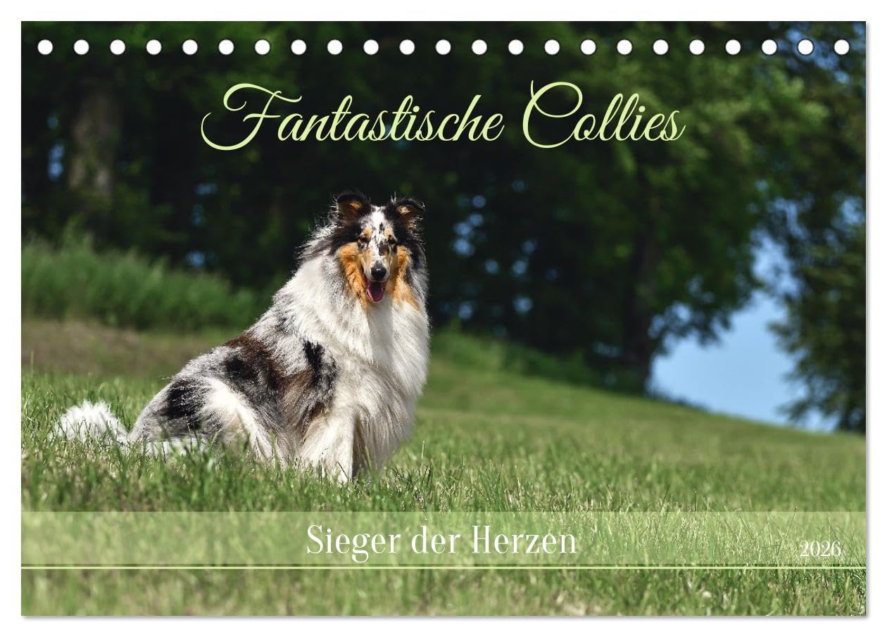 Fantastische Collies - Sieger der Herzen (Tischkalender 2026 DIN A5 quer), CALVENDO Monatskalender Business & Technology