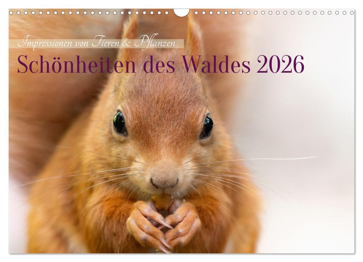 Schönheiten des Waldes (Wandkalender 2026 DIN A3 quer), CALVENDO Monatskalender Film, Art & Culture