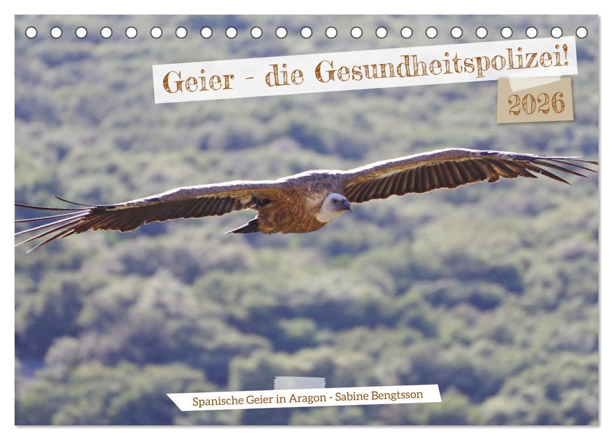 Geier - die Gesundheitspolizei! (Tischkalender 2026 DIN A5 quer), CALVENDO Monatskalender Natural Sciences
