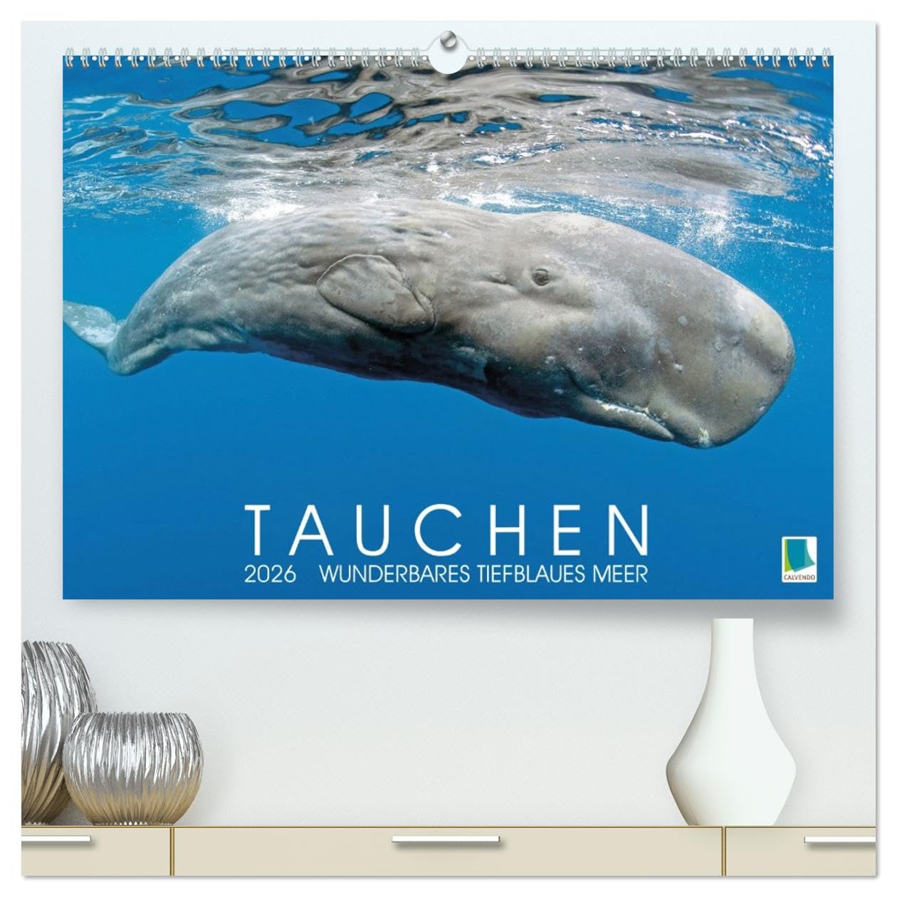Tauchen: Wunderbares tiefblaues Meer (hochwertiger Premium Wandkalender 2026 DIN A2 quer), Kunstdruck in Hochglanz Leisure, Home & Garden