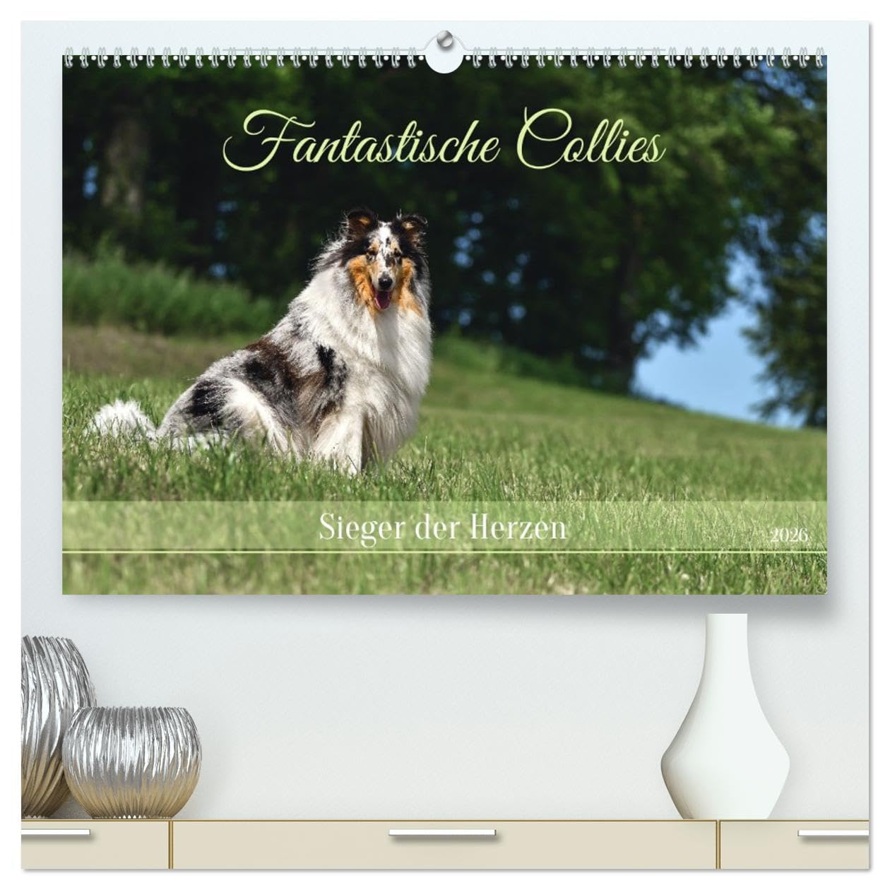 Fantastische Collies - Sieger der Herzen (hochwertiger Premium Wandkalender 2026 DIN A2 quer), Kunstdruck in Hochglanz Business & Technology