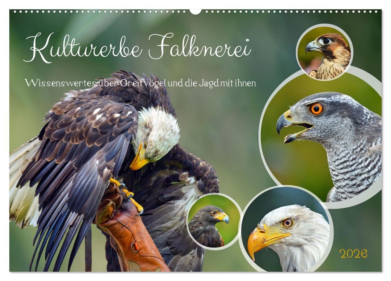 Kulturerbe Falknerei (Wandkalender 2026 DIN A2 quer), CALVENDO Monatskalender Natural Sciences