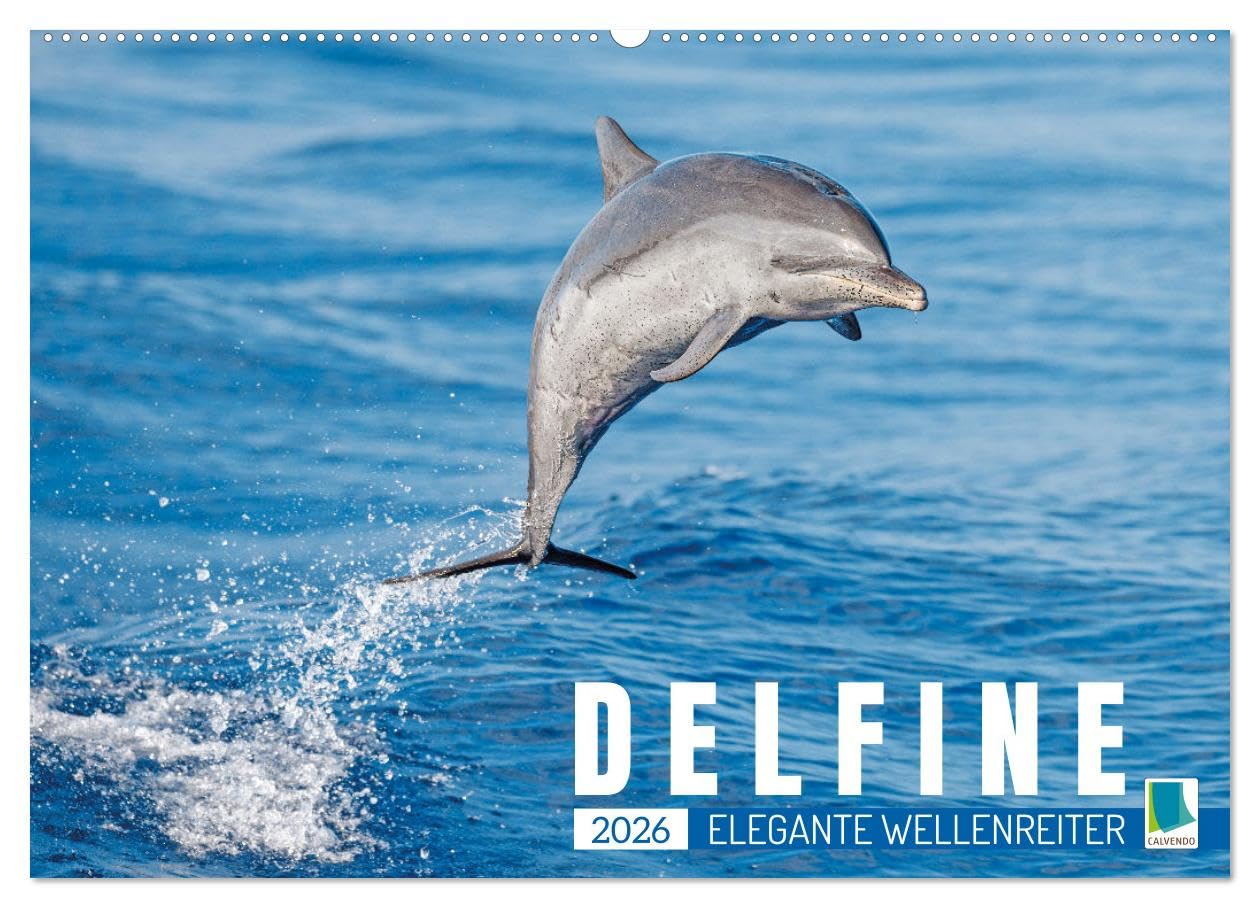 Delfine: Elegante Wellenreiter (Wandkalender 2026 DIN A2 quer), CALVENDO Monatskalender Natural Sciences