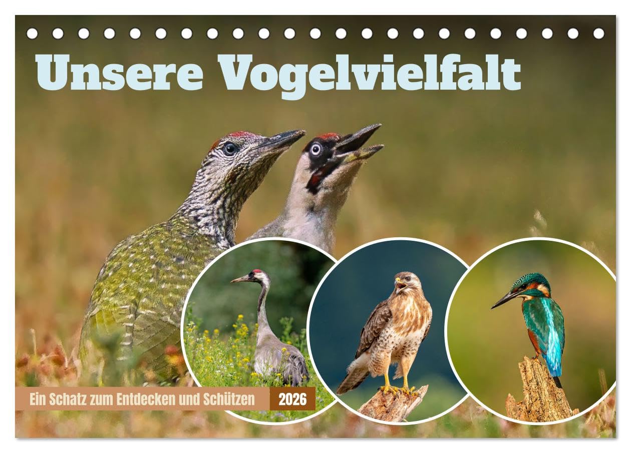 Unsere Vogelvielfalt: Ein Schatz zum Entdecken und Schützen (Tischkalender 2026 DIN A5 quer), CALVENDO Monatskalender Social Sciences