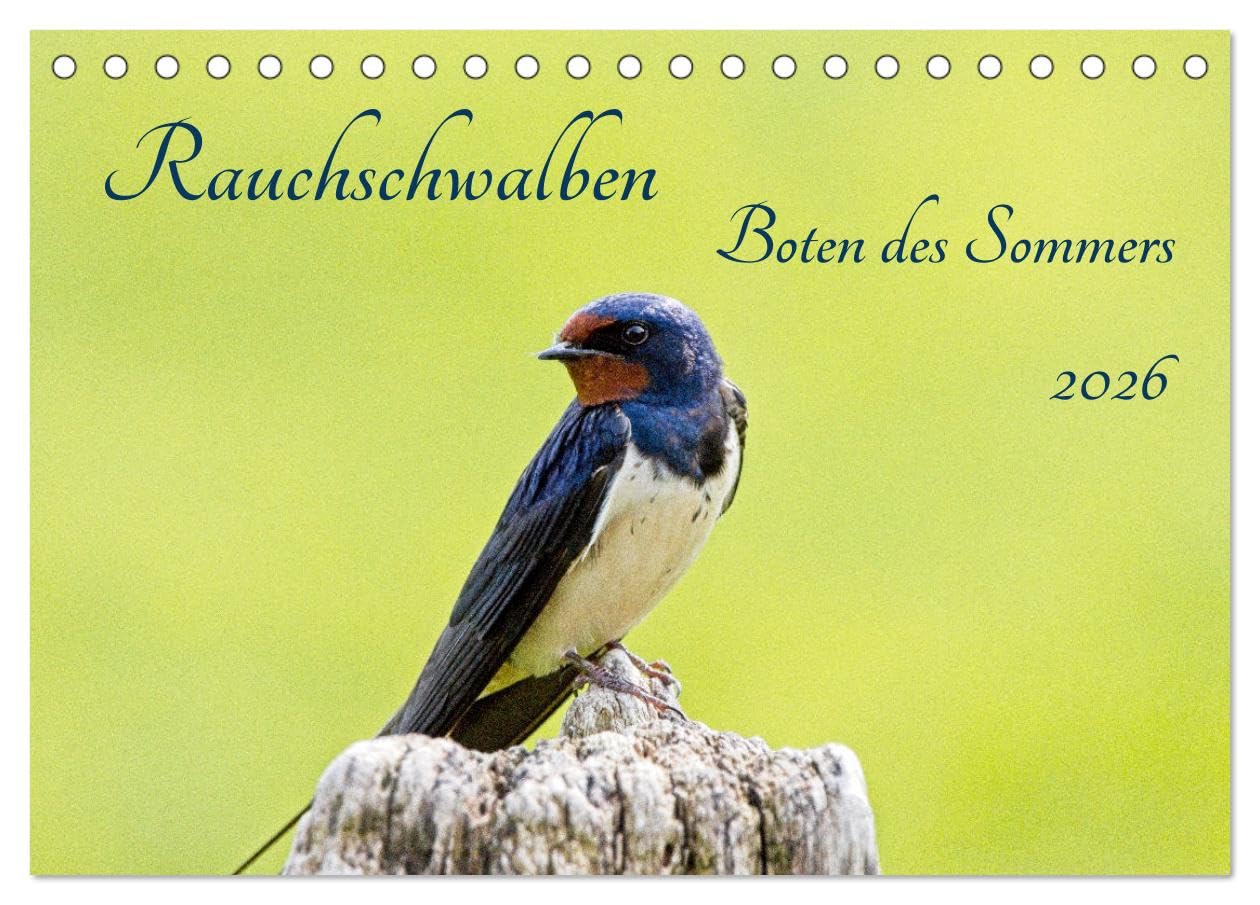 Rauchschwalben - Boten des Sommers (Tischkalender 2026 DIN A5 quer), CALVENDO Monatskalender Natural Sciences
