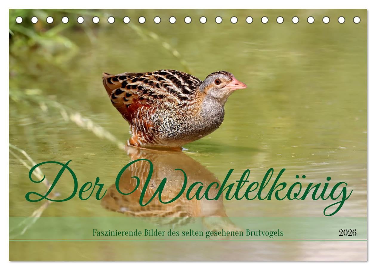 Der Wachtelkönig (Tischkalender 2026 DIN A5 quer), CALVENDO Monatskalender Leisure, Home & Garden