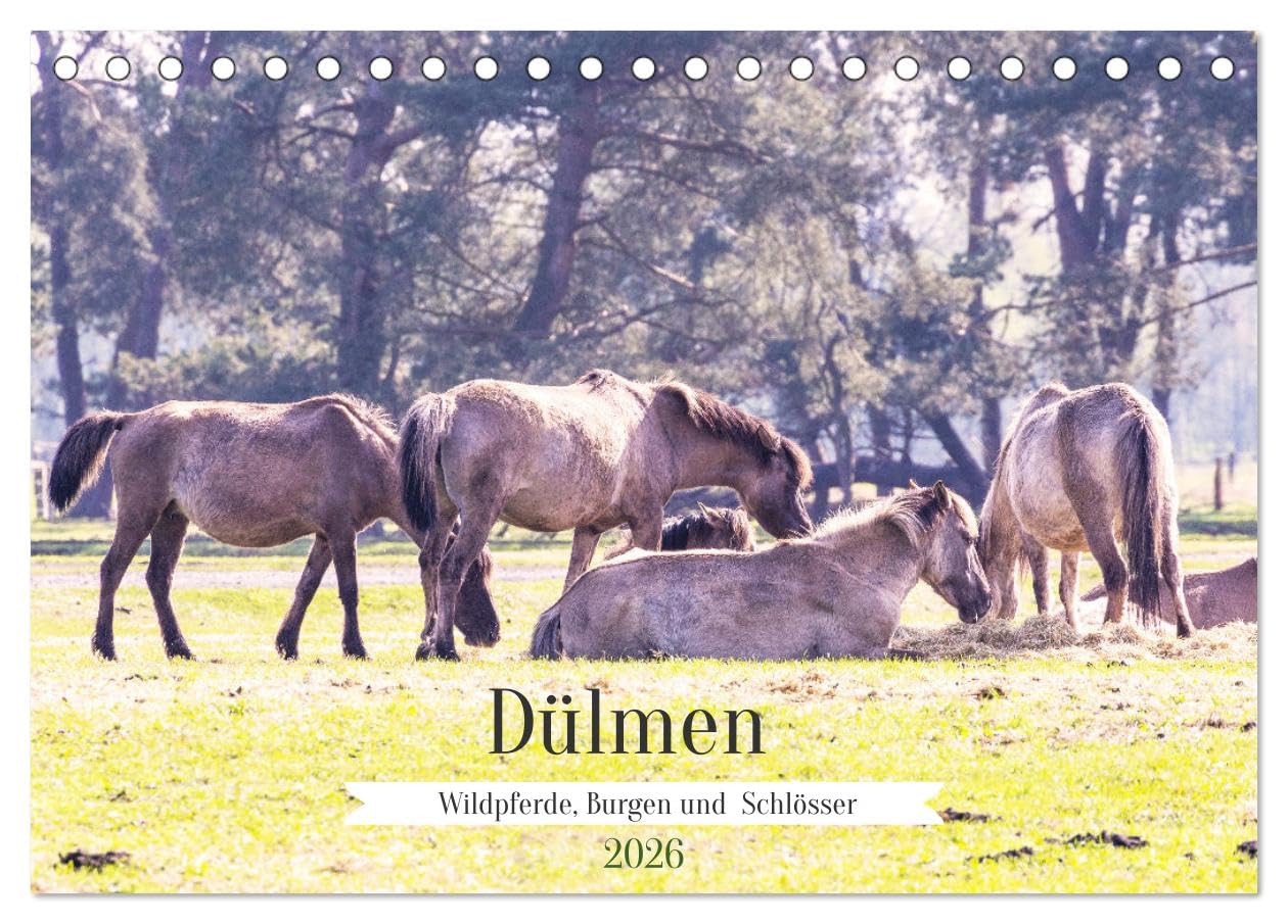 Dülmen - Wildpferde, Burgen und Schlösser (Tischkalender 2026 DIN A5 quer), CALVENDO Monatskalender Leisure, Home & Garden