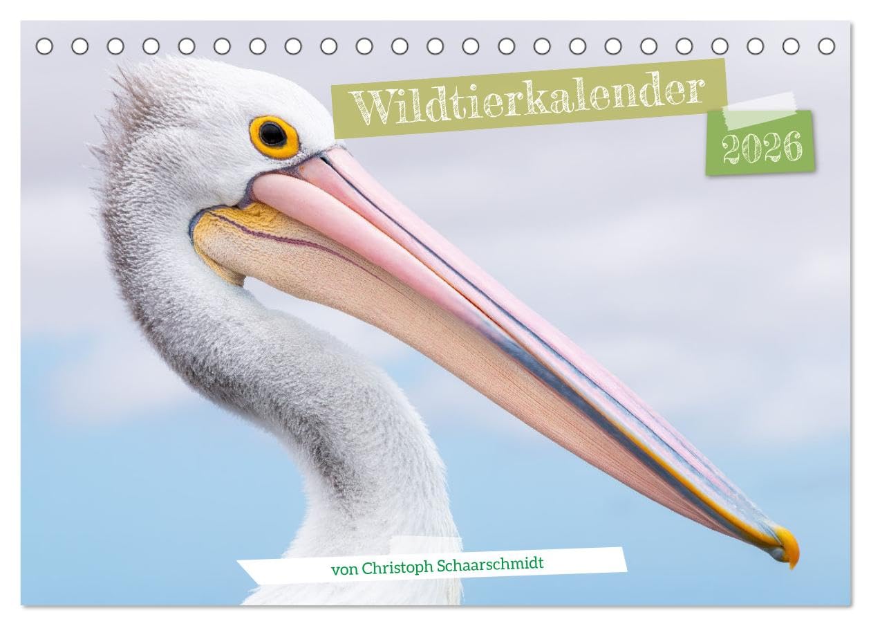 Wildtierkalender (Tischkalender 2026 DIN A5 quer), CALVENDO Monatskalender Photography