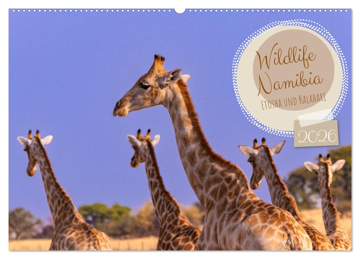 Wildlife Namibia - Etosha und Kalahari (Wandkalender 2026 DIN A2 quer), CALVENDO Monatskalender Natural Sciences