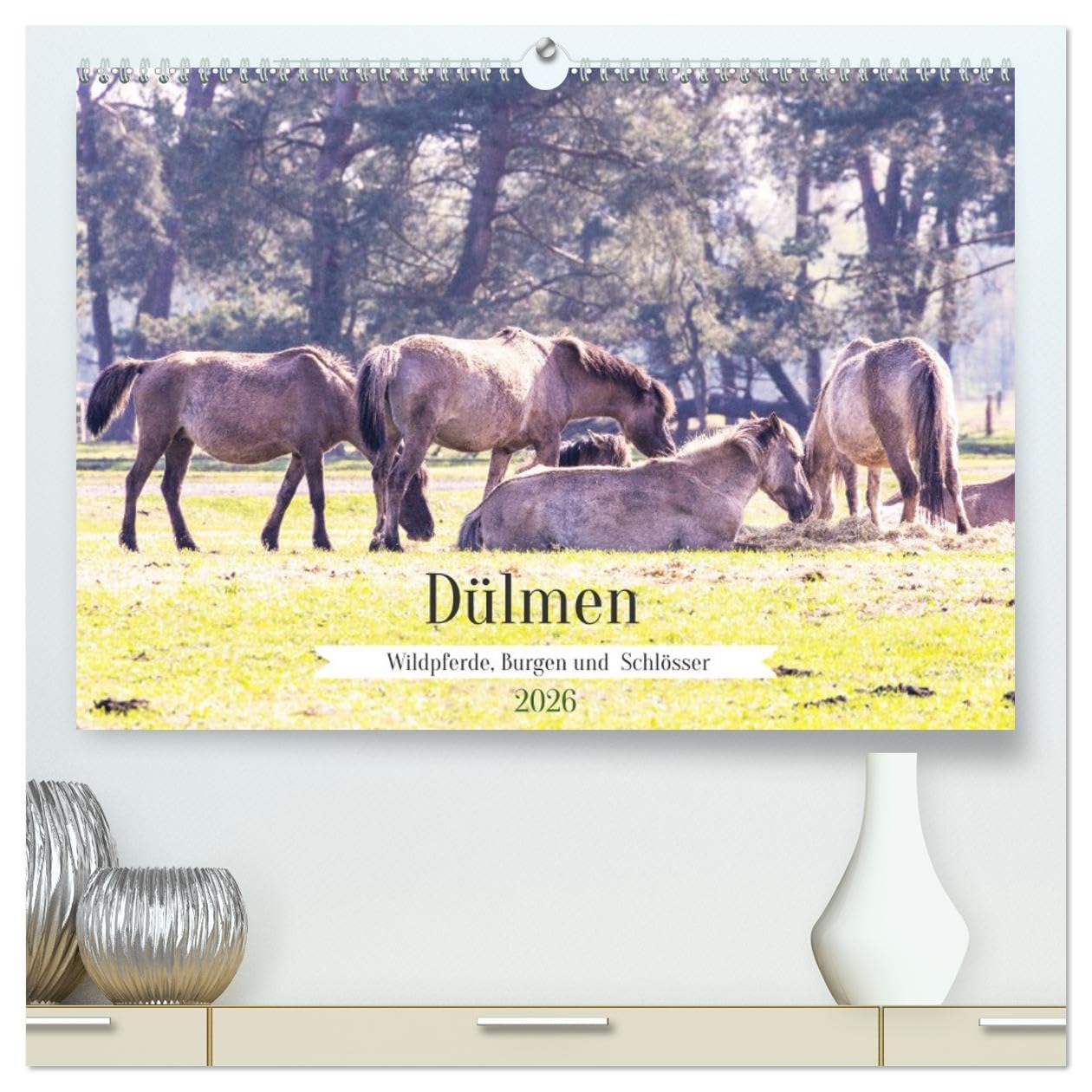 Dülmen - Wildpferde, Burgen und Schlösser (hochwertiger Premium Wandkalender 2026 DIN A2 quer), Kunstdruck in Hochglanz Leisure, Home & Garden