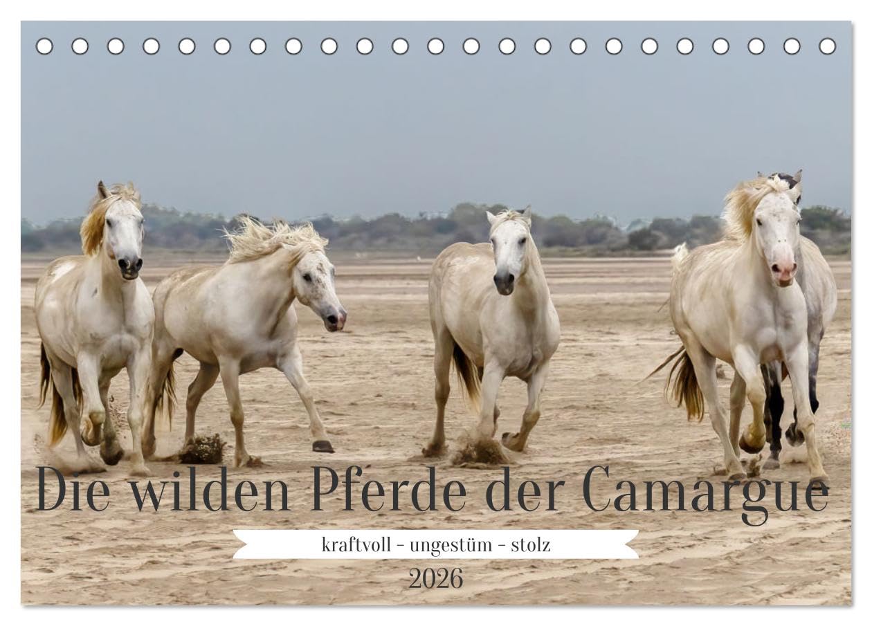 Die wilden Pferde der Camargue (Tischkalender 2026 DIN A5 quer), CALVENDO Monatskalender Leisure, Home & Garden
