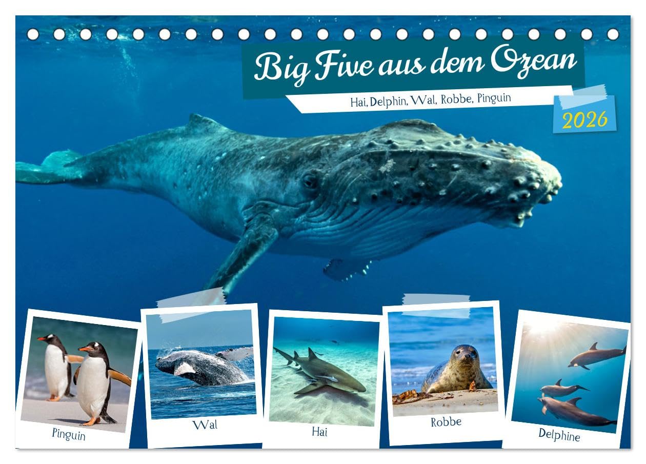 Big Five aus dem Ozean Hai, Delphin, Wal, Robbe, Pinguin (Tischkalender 2026 DIN A5 quer), CALVENDO Monatskalender Natural Sciences