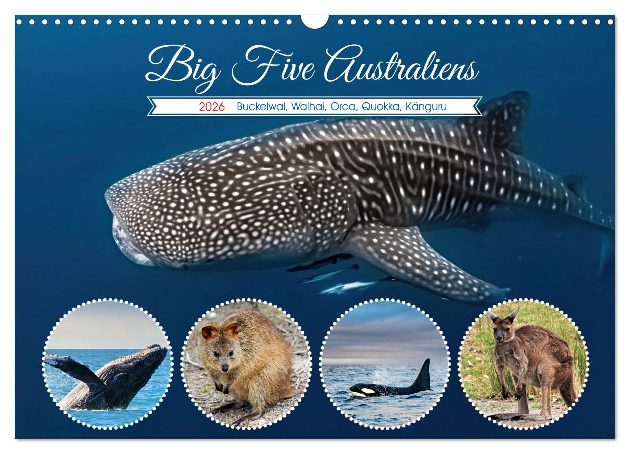 Big Five Australiens Buckelwal, Walhai, Orca, Quokka,Känguru (Wandkalender 2026 DIN A3 quer), CALVENDO Monatskalender Leisure, Home & Garden