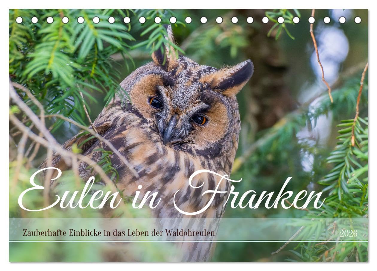 Eulen in Franken (Tischkalender 2026 DIN A5 quer), CALVENDO Monatskalender Natural Sciences