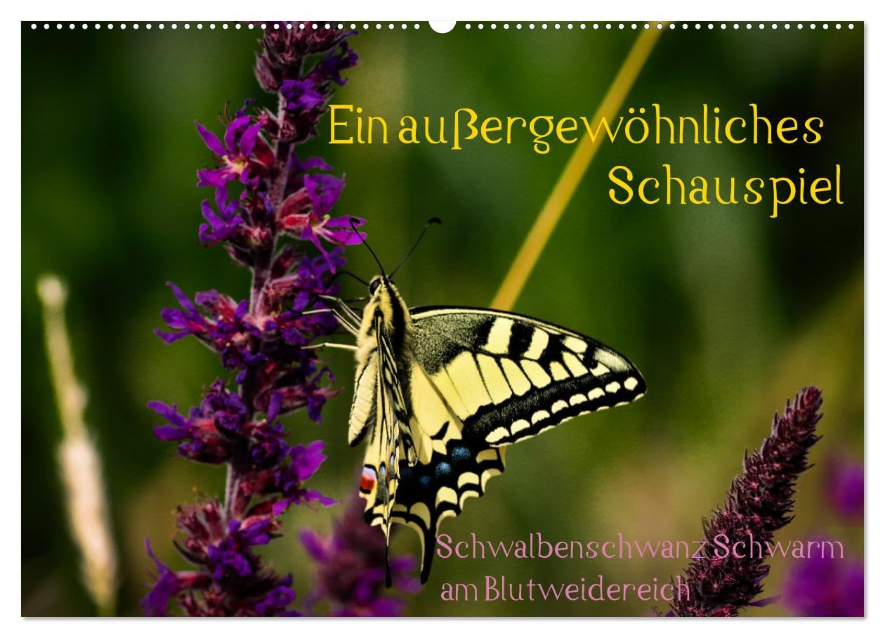 Ein außergewöhnliches Schauspiel (Wandkalender 2026 DIN A2 quer), CALVENDO Monatskalender Natural Sciences