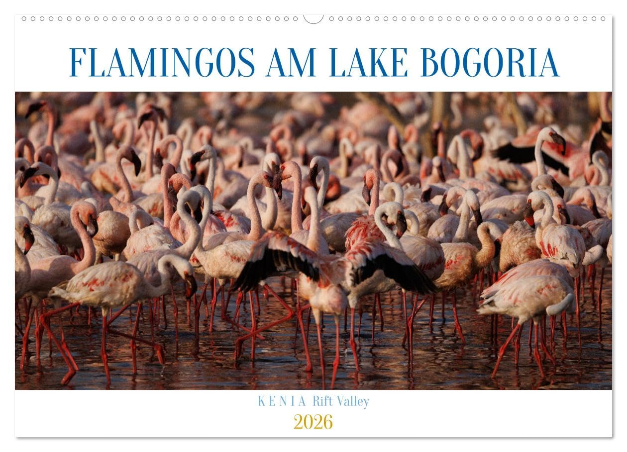 Flamingos am Lake Bogoria - Kenia (Wandkalender 2026 DIN A2 quer), CALVENDO Monatskalender Natural Sciences