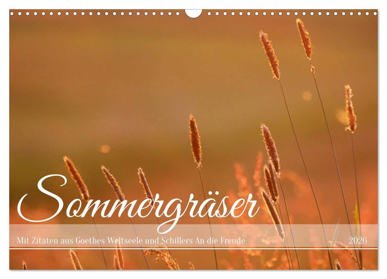 Sommergräser (Wandkalender 2026 DIN A3 quer), CALVENDO Monatskalender Film, Art & Culture