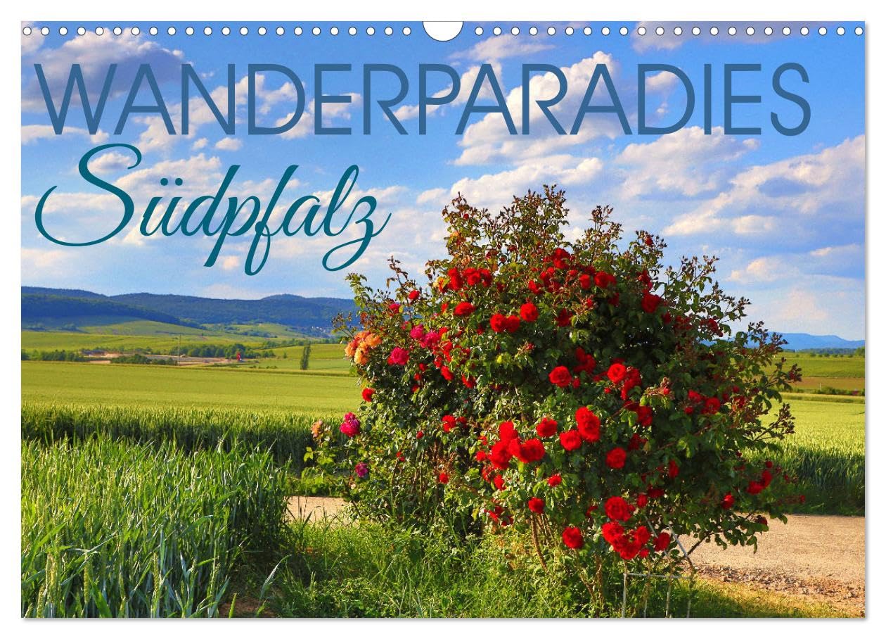 Wanderparadies Südpfalz (Wandkalender 2026 DIN A3 quer), CALVENDO Monatskalender Film, Art & Culture