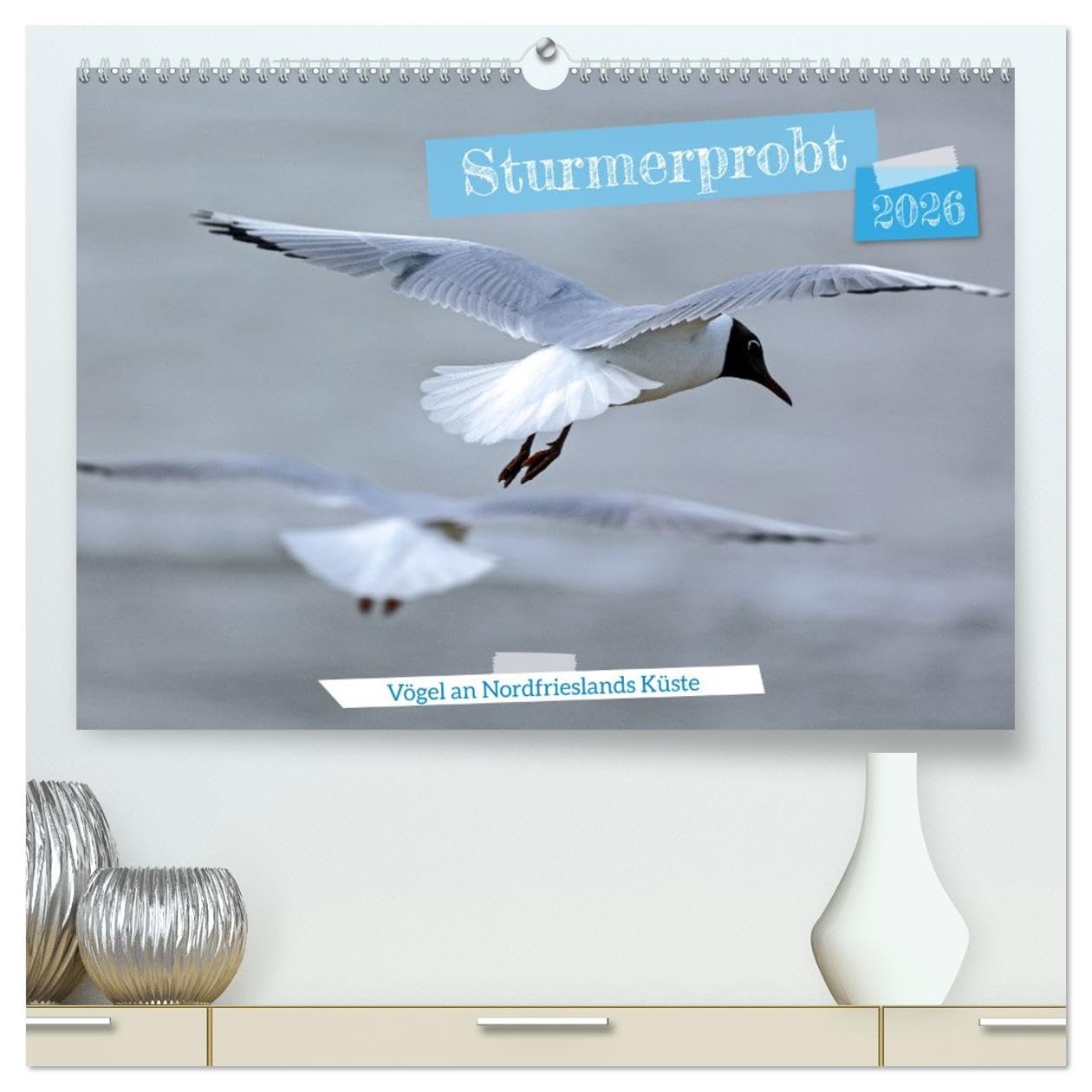 Sturmerprobt - Vögel an Nordfrieslands Küste (hochwertiger Premium Wandkalender 2026 DIN A2 quer), Kunstdruck in Hochglanz Natural Sciences