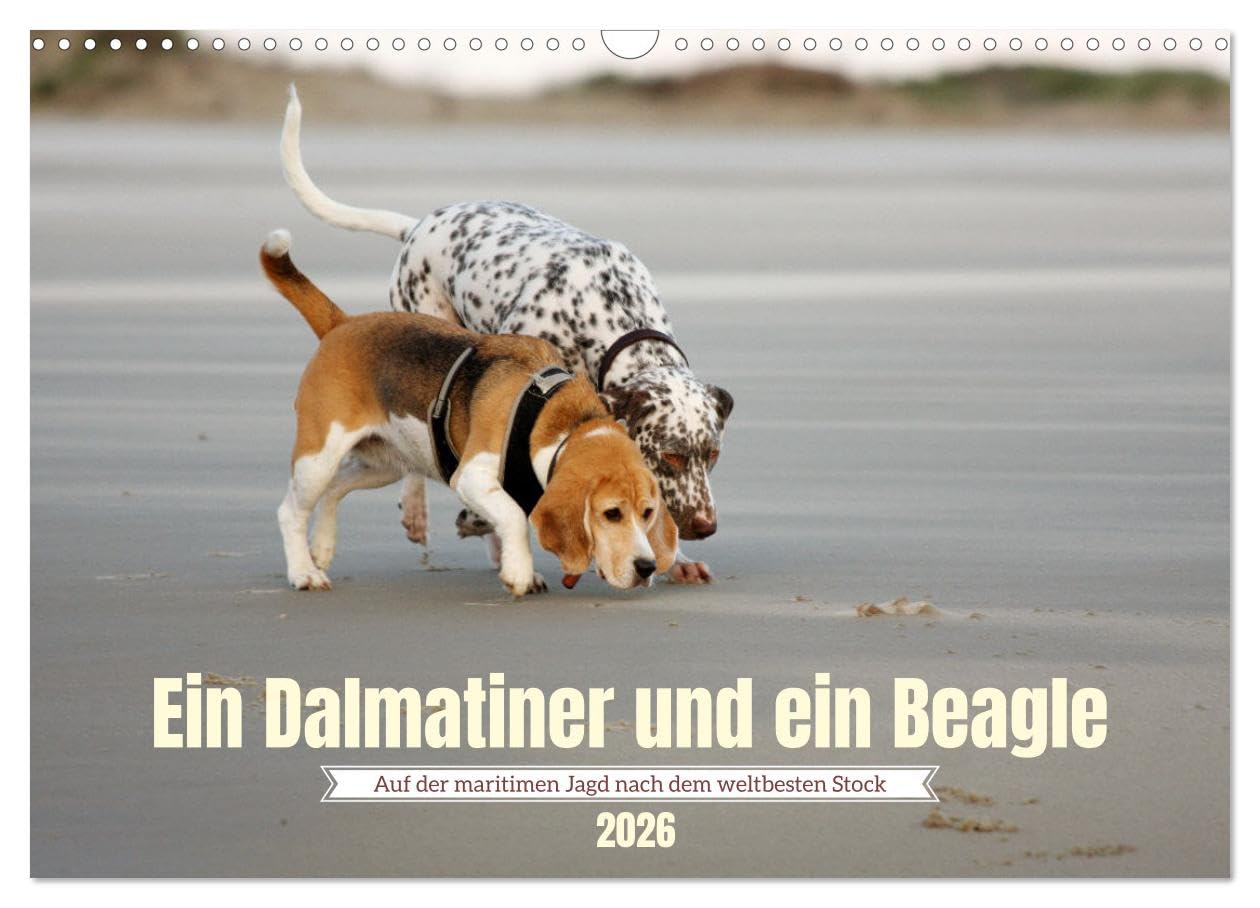 Ein Dalmatiner und ein Beagle - Auf der maritimen Jagd nach dem weltbesten Stock (Wandkalender 2026 DIN A3 quer), CALVENDO Monatskalender Natural Sciences