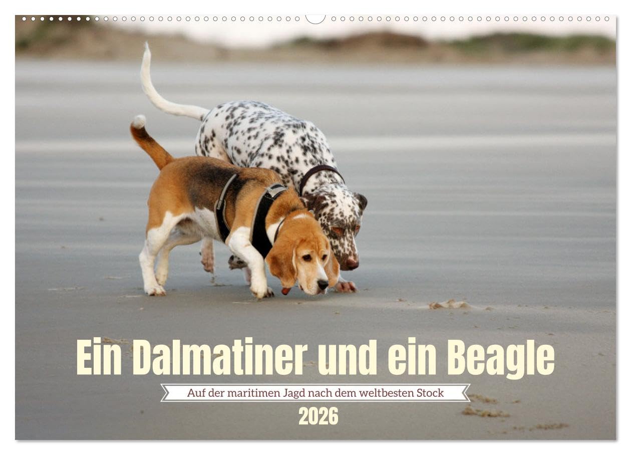 Ein Dalmatiner und ein Beagle - Auf der maritimen Jagd nach dem weltbesten Stock (Wandkalender 2026 DIN A2 quer), CALVENDO Monatskalender Natural Sciences