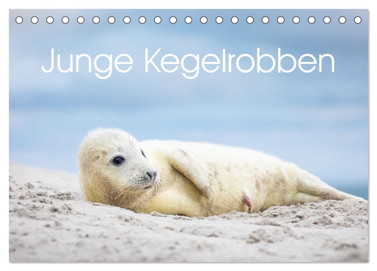 Junge Kegelrobben (Tischkalender 2026 DIN A5 quer), CALVENDO Monatskalender Film, Art & Culture