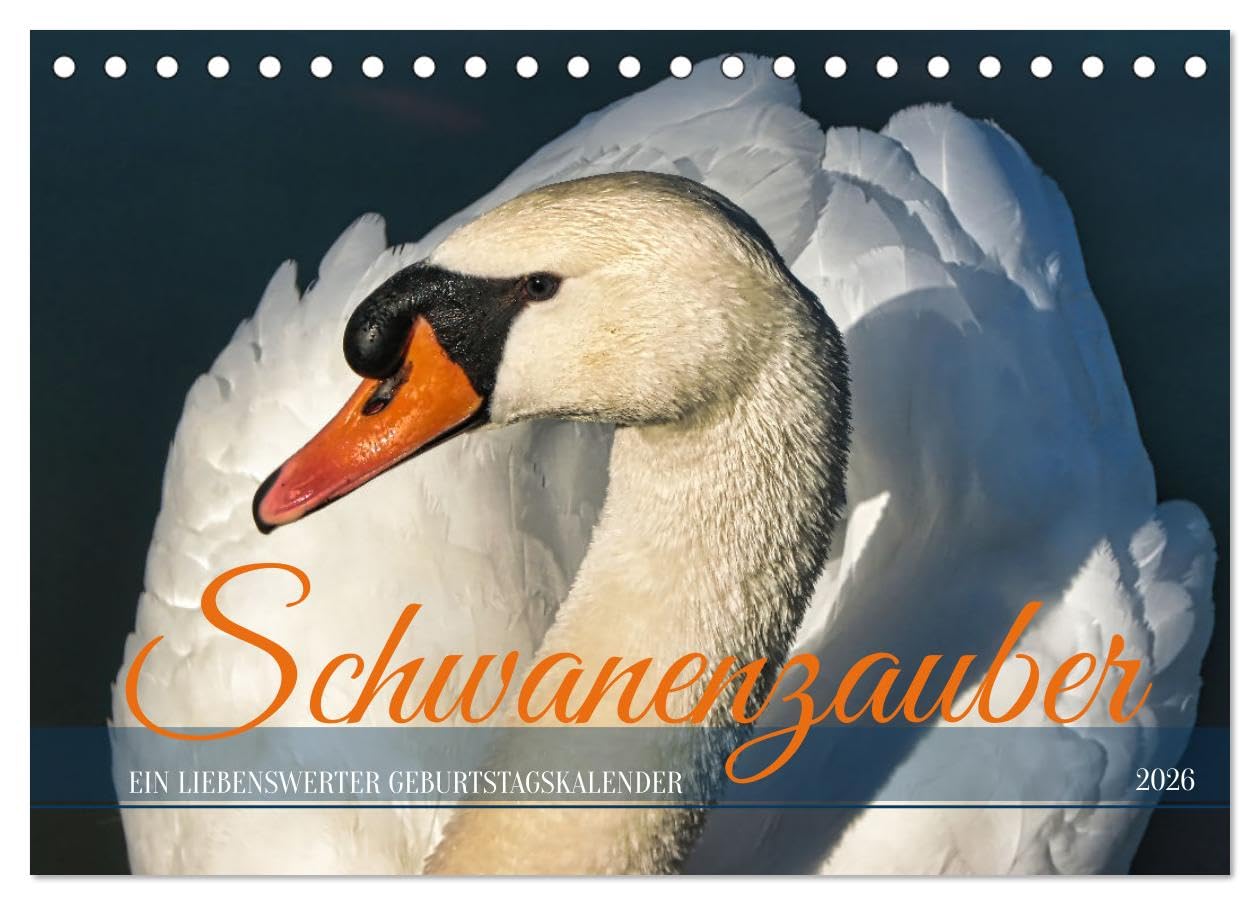 Schwanenzauber (Tischkalender 2026 DIN A5 quer), CALVENDO Monatskalender Social Sciences
