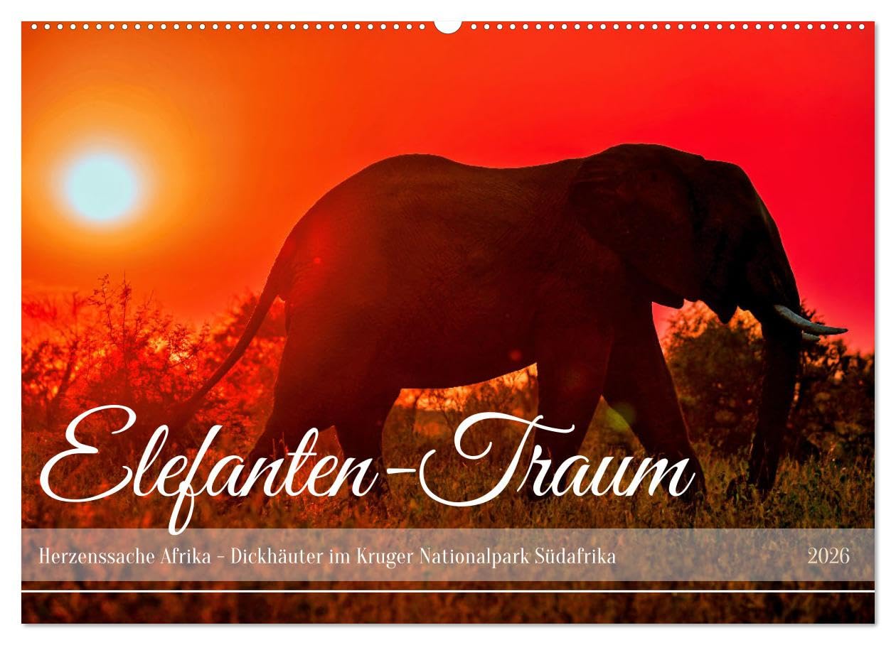 Elefanten-Traum - Herzenssache Afrika (Wandkalender 2026 DIN A2 quer), CALVENDO Monatskalender Natural Sciences