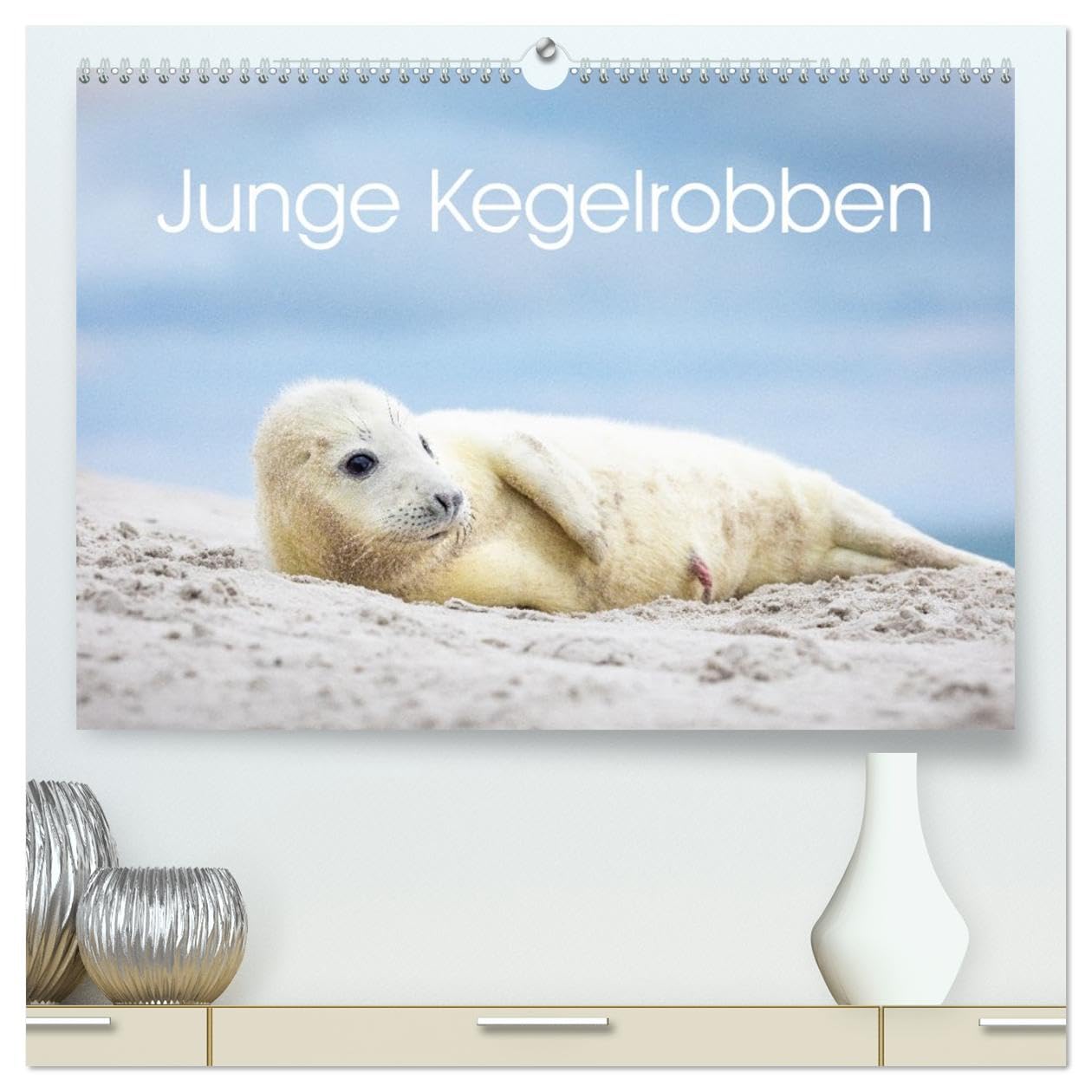 Junge Kegelrobben (hochwertiger Premium Wandkalender 2026 DIN A2 quer), Kunstdruck in Hochglanz Film, Art & Culture