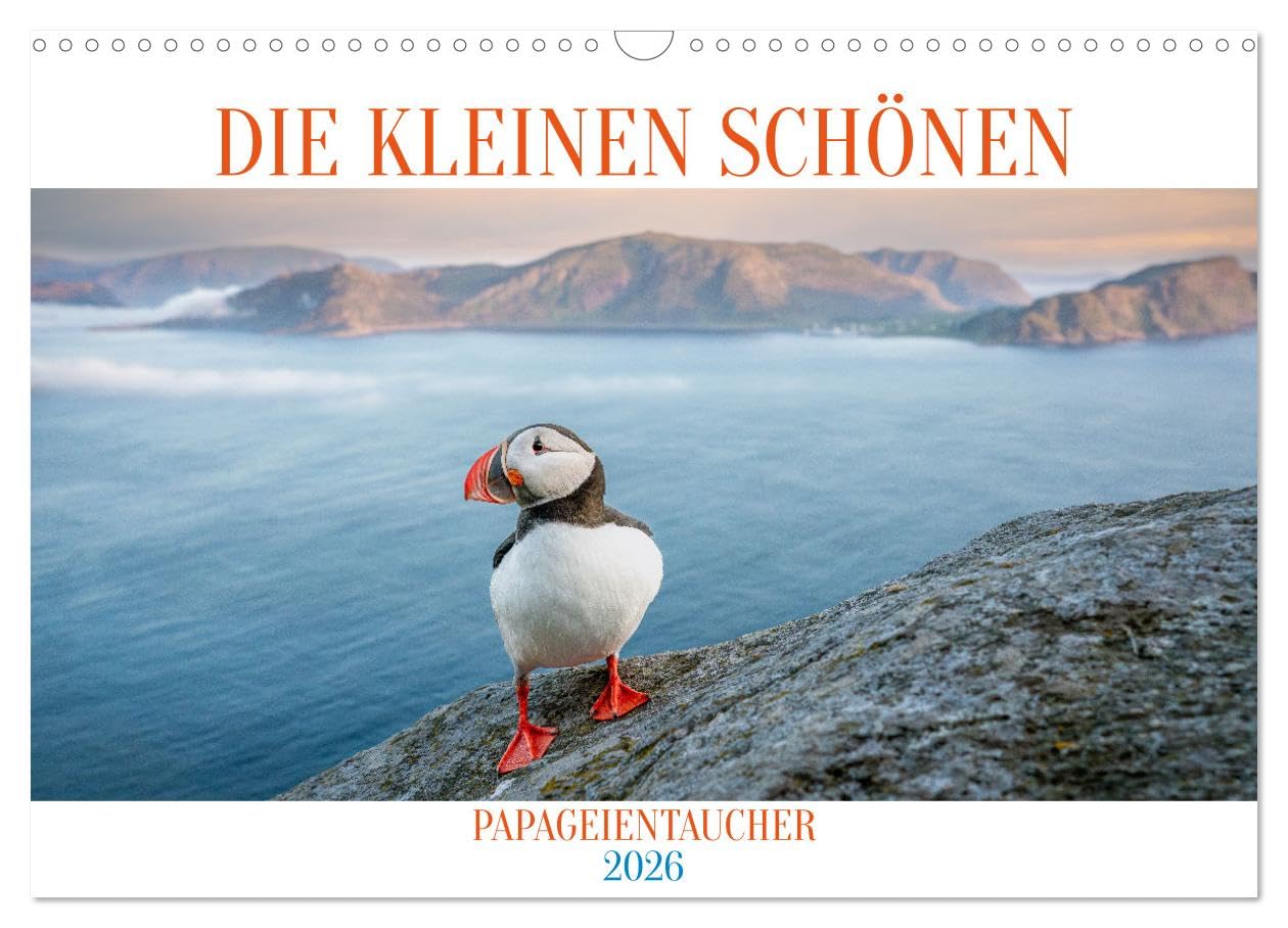 Die kleinen schönen (Wandkalender 2026 DIN A3 quer), CALVENDO Monatskalender Natural Sciences