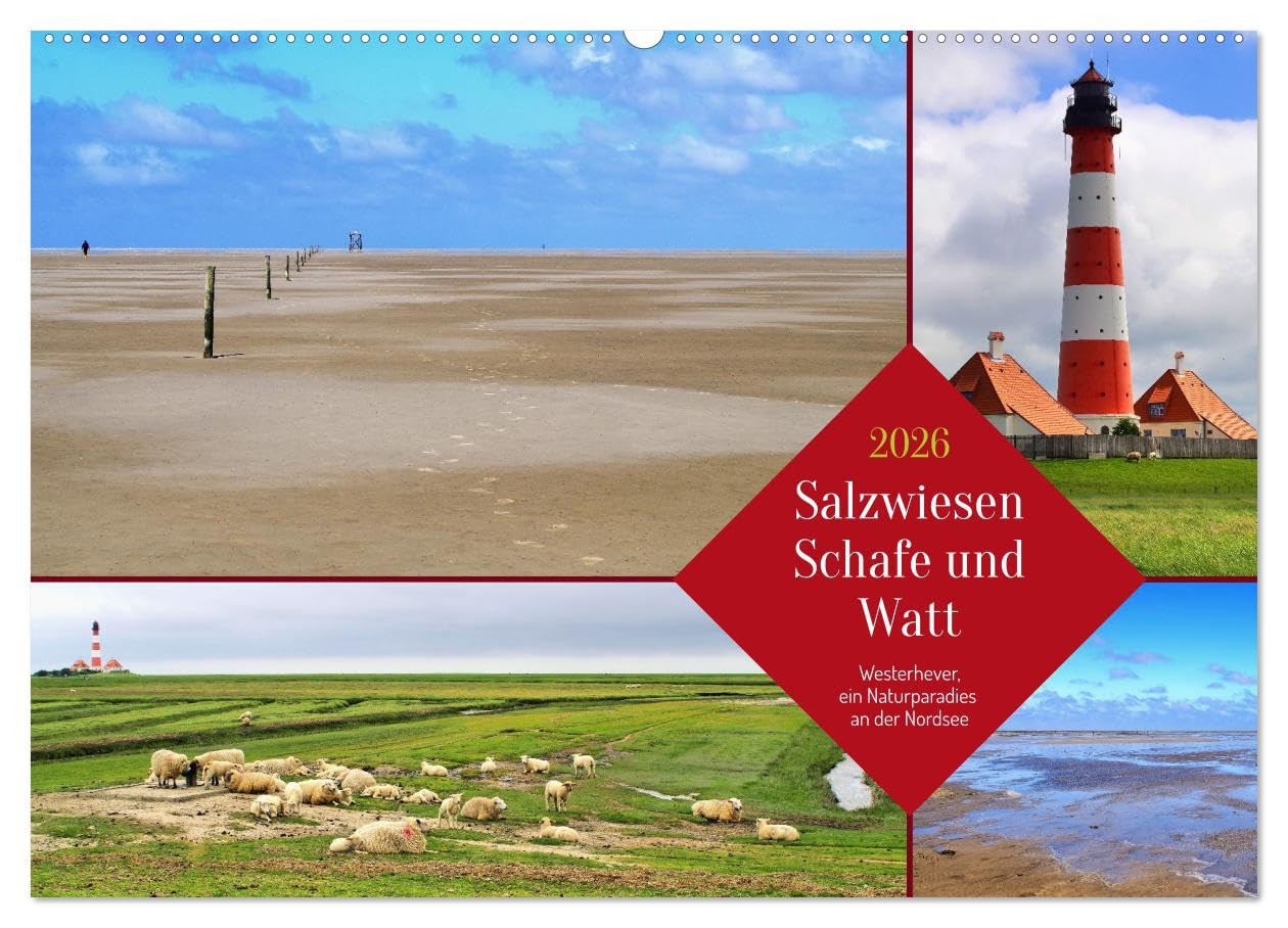 Salzwiesen, Schafe und Watt - Westerhever, ein Naturparadies an der Nordsee (Wandkalender 2026 DIN A2 quer), CALVENDO Monatskalender Film, Art & Culture