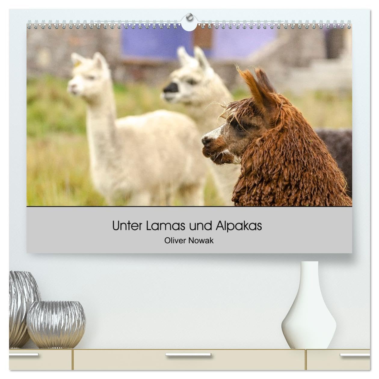 Unter Lamas und Alpakas (hochwertiger Premium Wandkalender 2026 DIN A2 quer), Kunstdruck in Hochglanz Film, Art & Culture