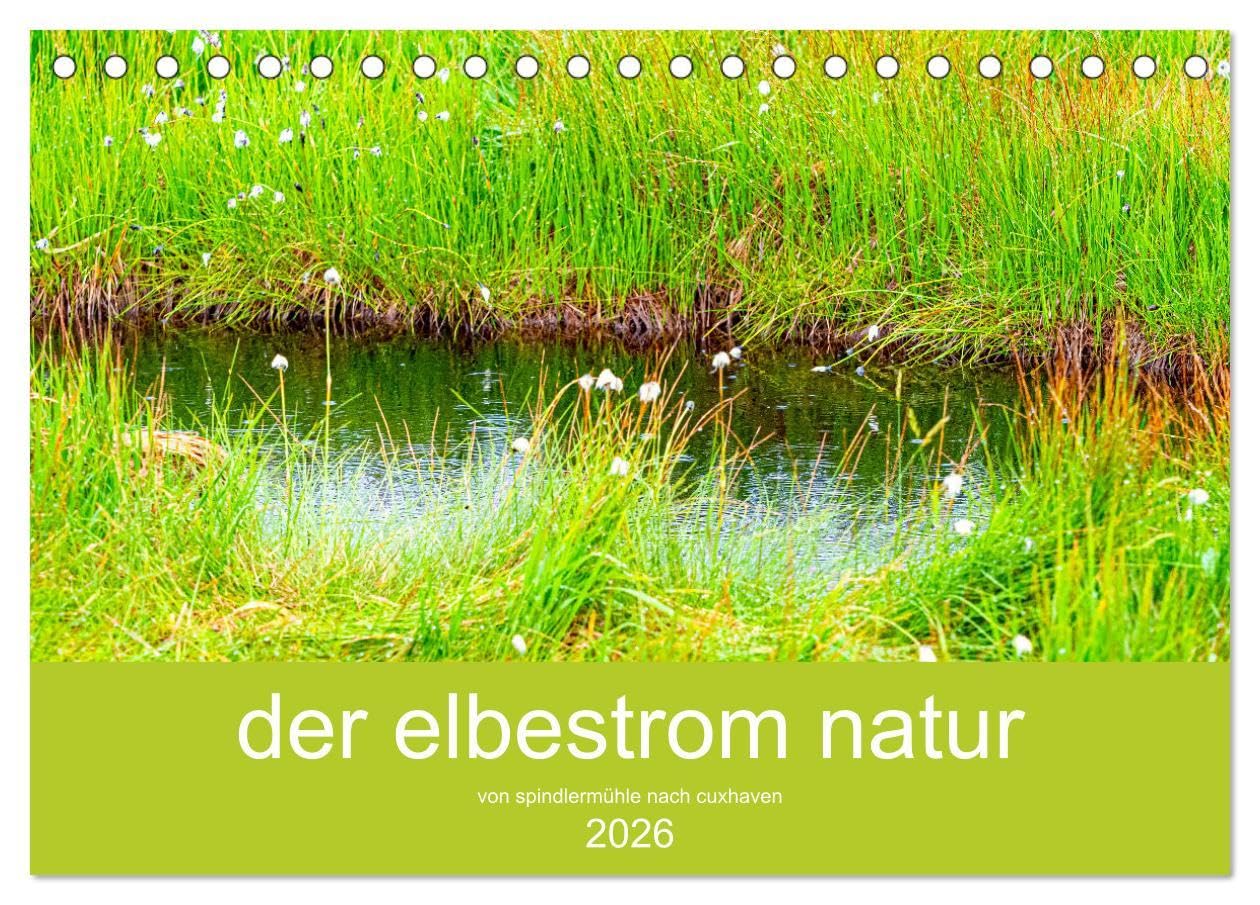 der elbestrom natur (Tischkalender 2026 DIN A5 quer), CALVENDO Monatskalender: Der Elbe von Spindlermühle bis Cuxhaven ist der Fotokünstler Steffen ... seine schönsten Motive. (CALVENDO Natur) Film, Art & Culture
