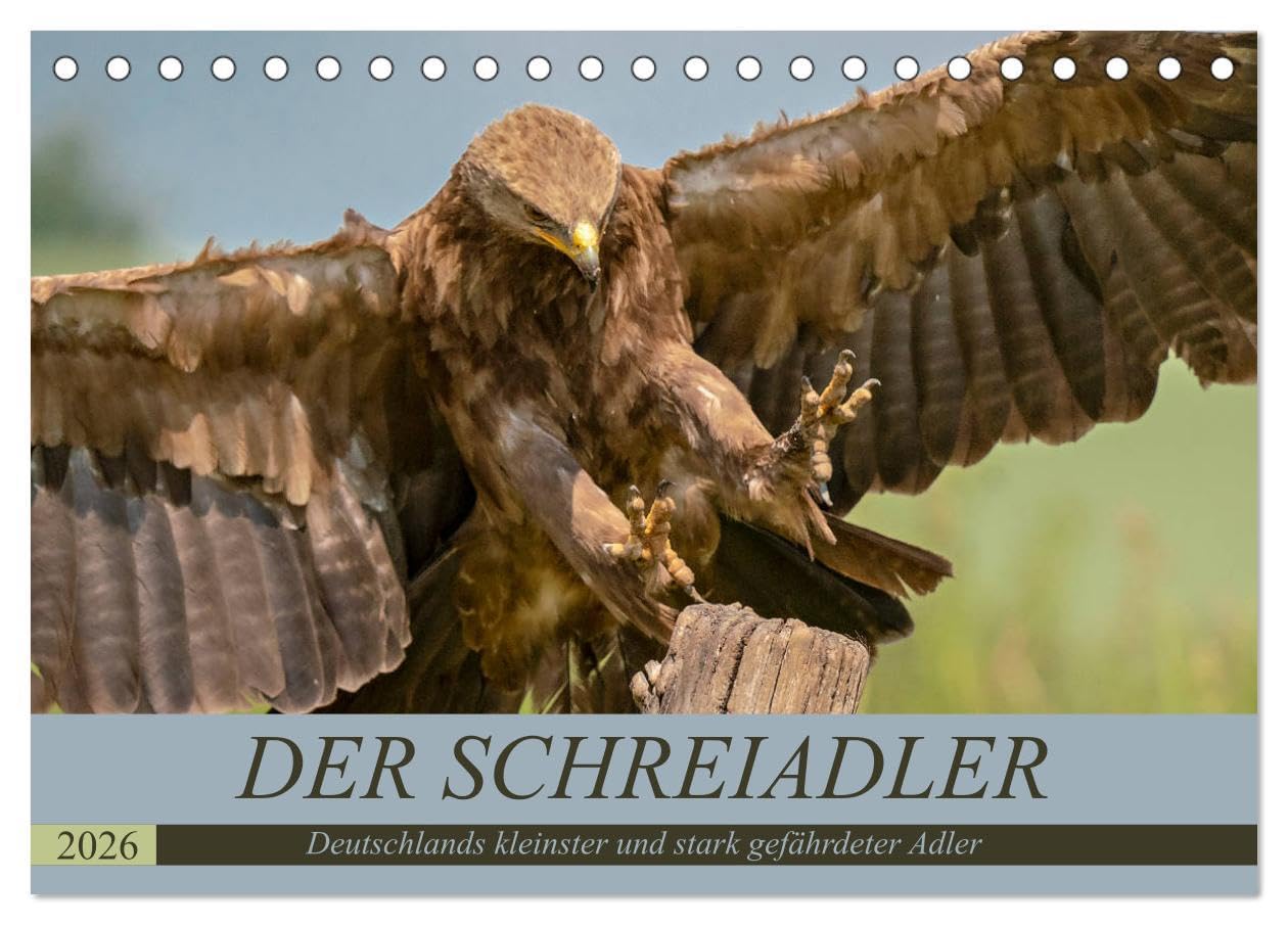 Der Schreiadler (Clanga pomarina) - Deutschands kleinster und stark gefährdeter Adler. (Tischkalender 2026 DIN A5 quer), CALVENDO Monatskalender: Ein ... vom Aussterben bedroht ist. (CALVENDO Tiere) Film, Art & Culture