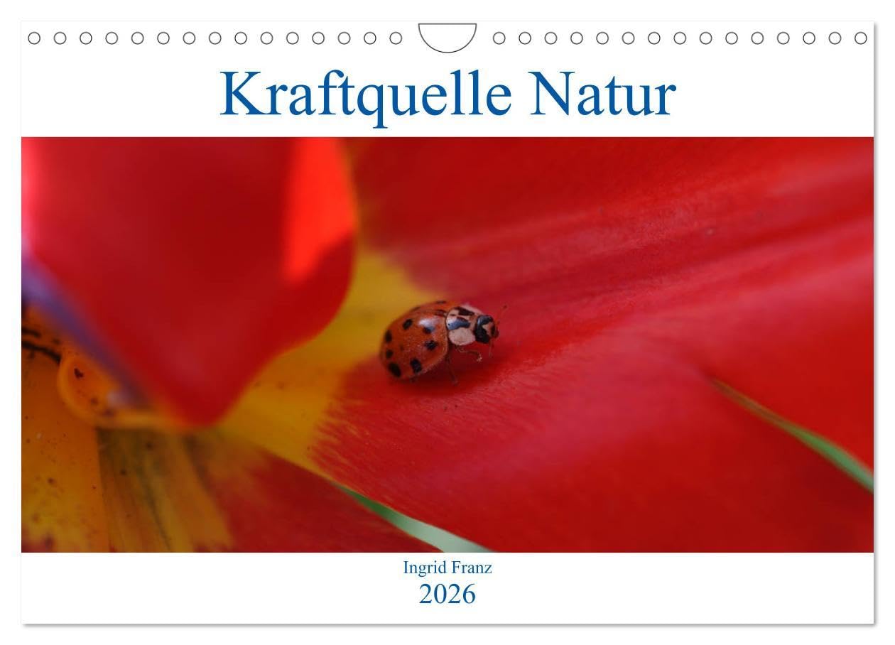 Kraftquelle Natur (Wandkalender 2026 DIN A4 quer), CALVENDO Monatskalender: Die Natur als Quelle der Inspiration (CALVENDO Natur) Leisure, Home & Garden