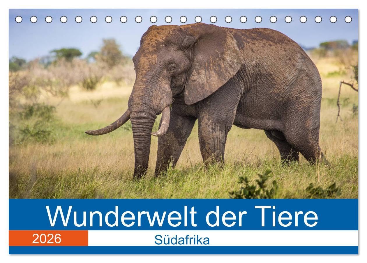 Wunderwelt der Tiere - Südafrika (Tischkalender 2026 DIN A5 quer), CALVENDO Monatskalender: Mit atemberaubenden Tieraufnahmen aus Südafrika durch das Jahr (CALVENDO Tiere) Natural Sciences