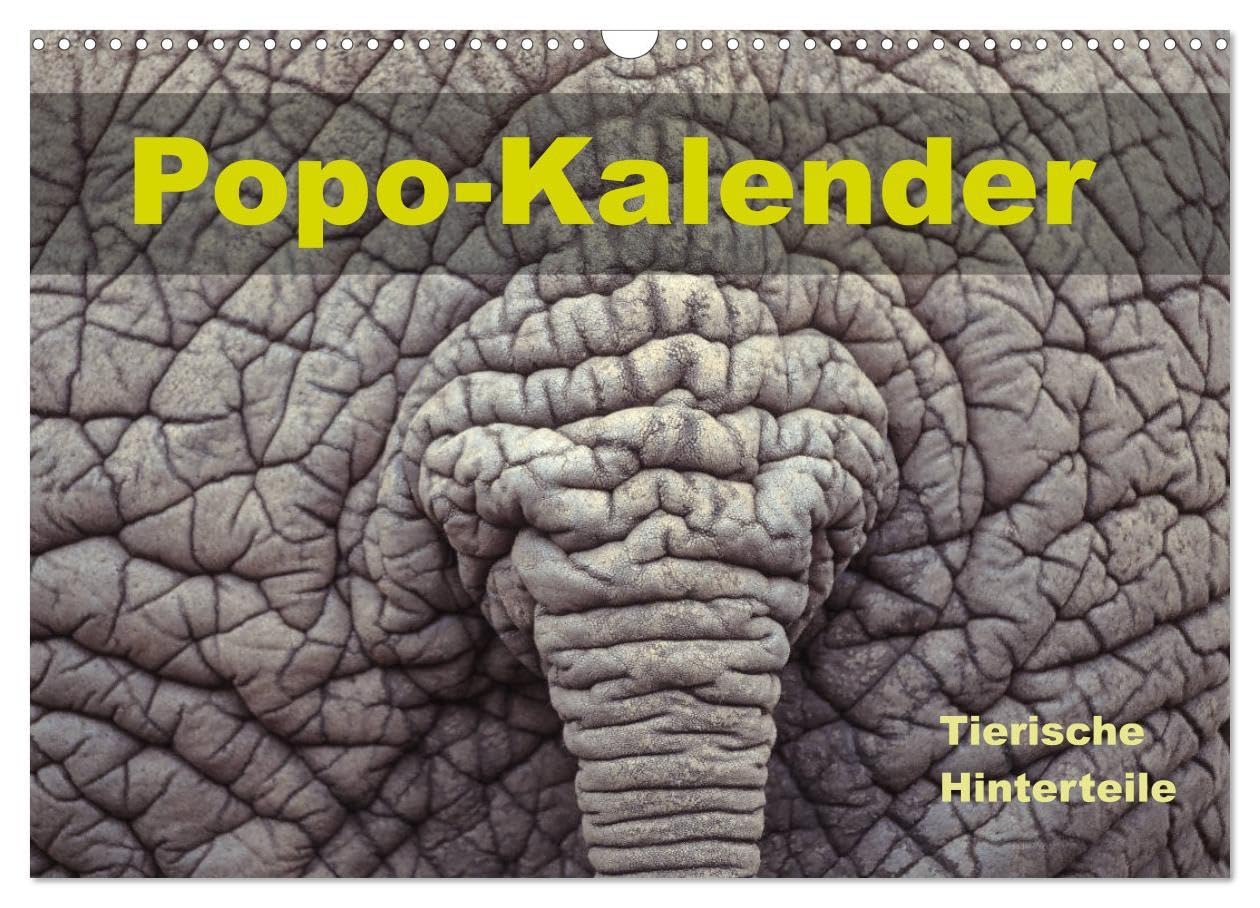 Popo-Kalender (Wandkalender 2026 DIN A3 quer), CALVENDO Monatskalender: Zwölf lustige Tierfotos von haarigen, breiten, faltigen, stachligen, bunten, ... der verschiedensten Tiere. (CALVENDO Spass) Film, Art & Culture