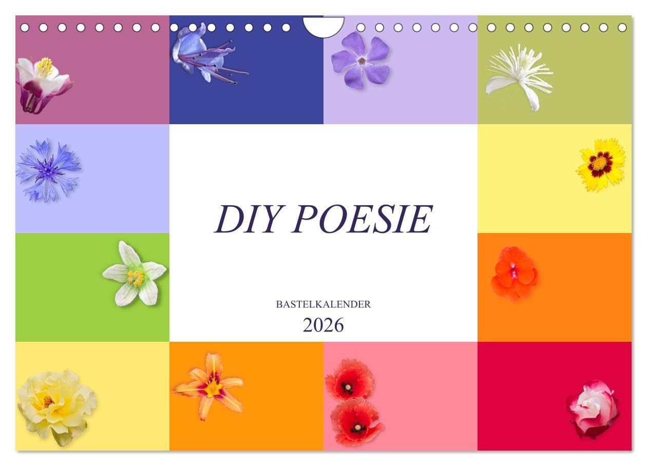DIY POESIE - BASTELKALENDER (Wandkalender 2026 DIN A4 quer), CALVENDO Monatskalender: DIY POESIE - Zarte Blüten in fröhlichen Regenbogenfarben und ... unbegrenzte kreative Ideen (CALVENDO Hobbys) Leisure, Home & Garden