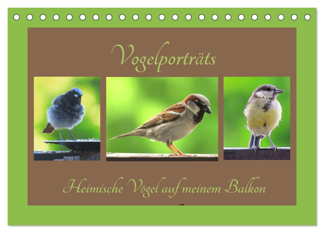 Vogelporträts - Heimische Vögel auf meinem Balkon (Tischkalender 2026 DIN A5 quer), CALVENDO Monatskalender: Freuen Sie sich über die kleinen Vogelgesellen aus Ihrem Garten book