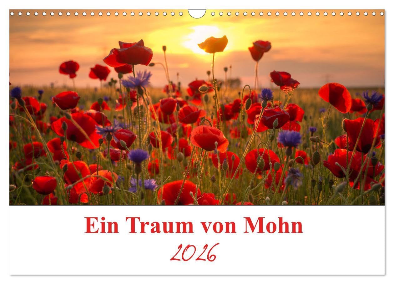 Ein Traum von Mohn (Wandkalender 2026 DIN A3 quer), CALVENDO Monatskalender: Die Mohnblumen sind eine immergrüne ein bis zweijährige Pflanze und die Blütezeit ist von Mai bis Juli. (CALVENDO Natur) Film, Art & Culture