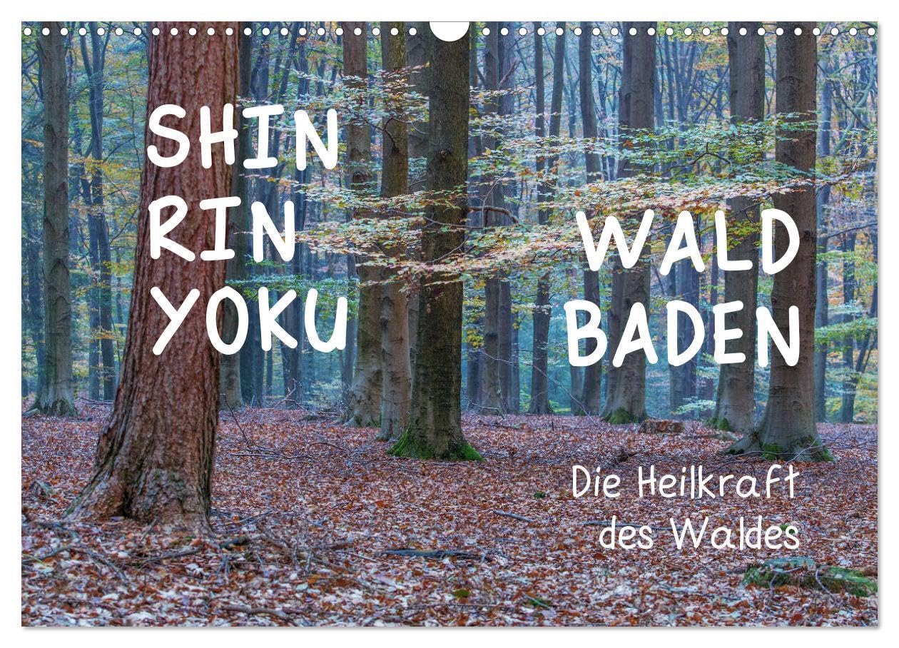 Shinrin yoku - Waldbaden 2026 (Wandkalender 2026 DIN A3 quer), CALVENDO Monatskalender: Zwölf einladende Fotografien inspirieren Sie, in die heilsame Waldatmosphäre abzutauchen (CALVENDO Gesundheit) Film, Art & Culture