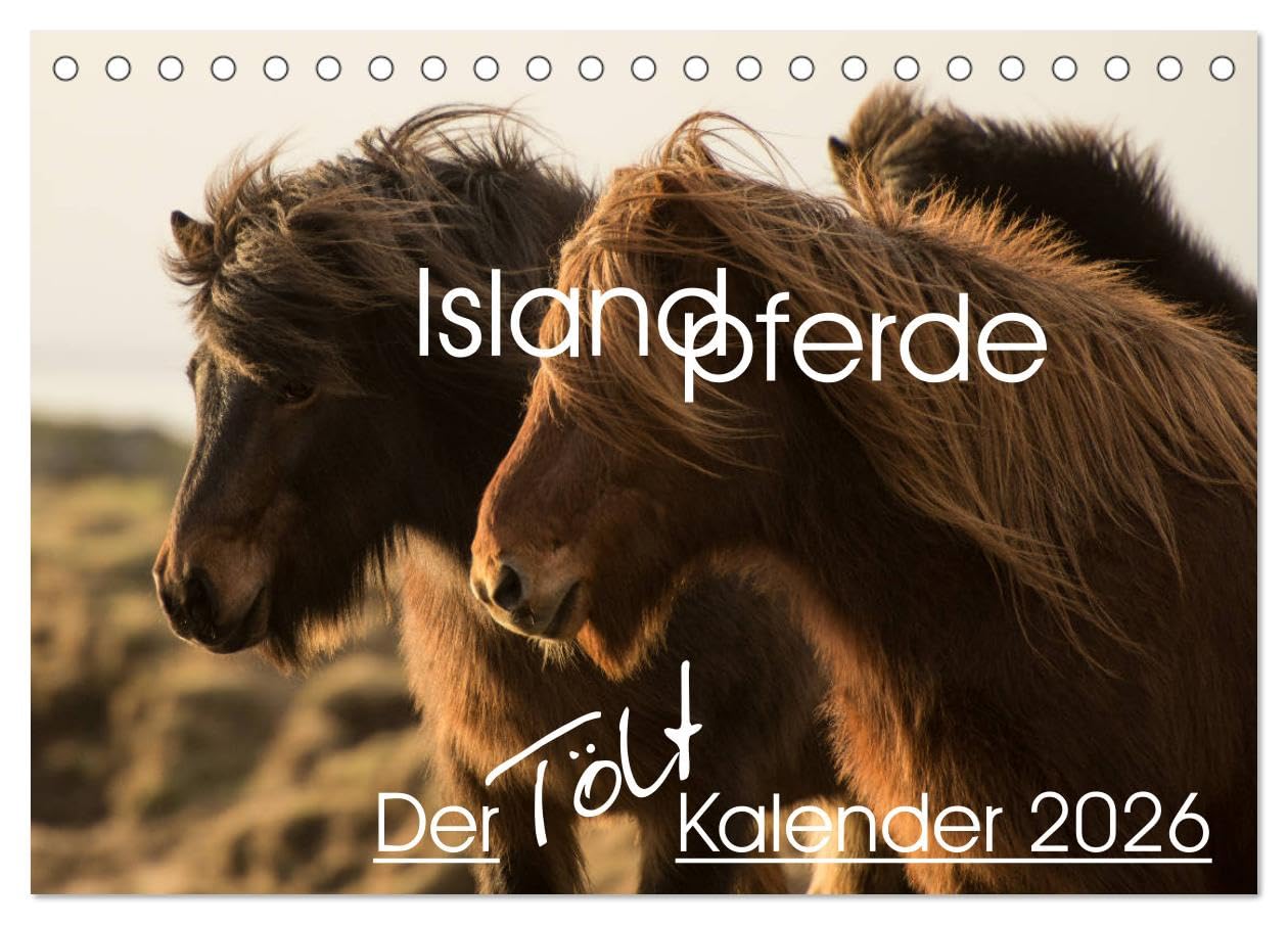 Islandpferde - Der Tölt Kalender (Tischkalender 2026 DIN A5 quer), CALVENDO Monatskalender Film, Art & Culture