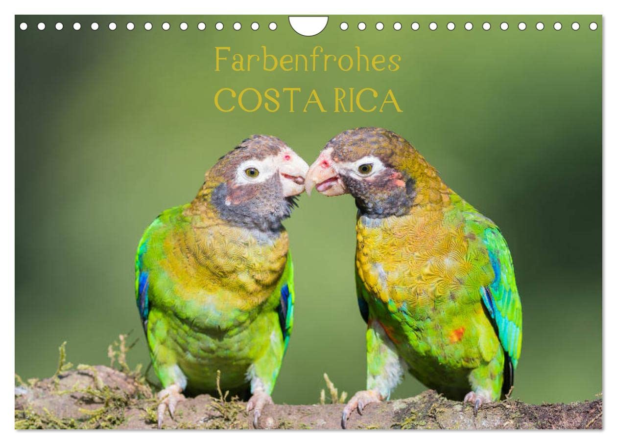 Farbenfrohes Costa Rica (Wandkalender 2026 DIN A4 quer), CALVENDO Monatskalender Living & Furnishing