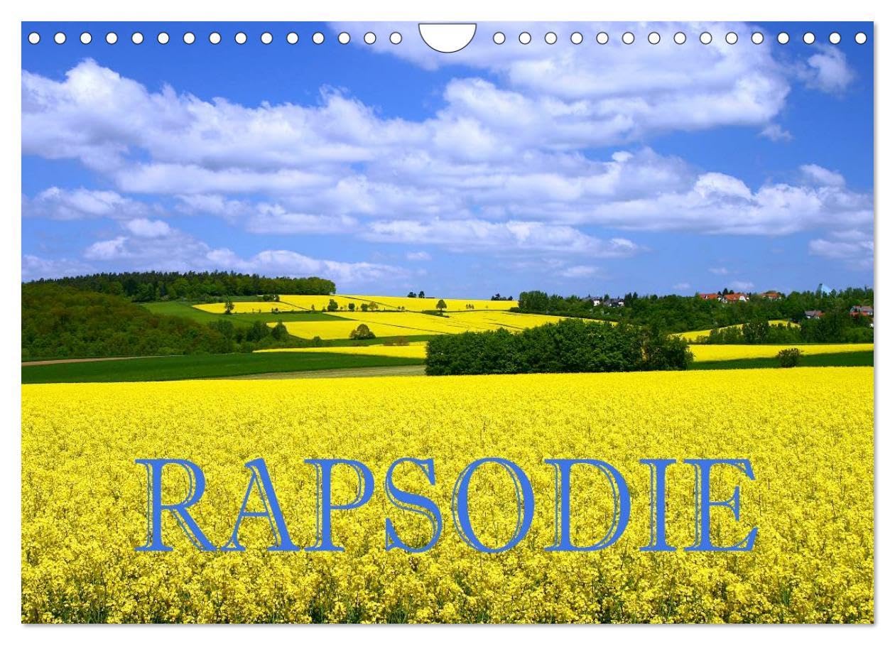 Rapsodie (Wandkalender 2026 DIN A4 quer), CALVENDO Monatskalender: Rapsfelder zählen bei Naturfotografen zu den beliebtesten Fotomotive. Dieser ... die Frage nach dem "warum"! (CALVENDO Natur) Photography