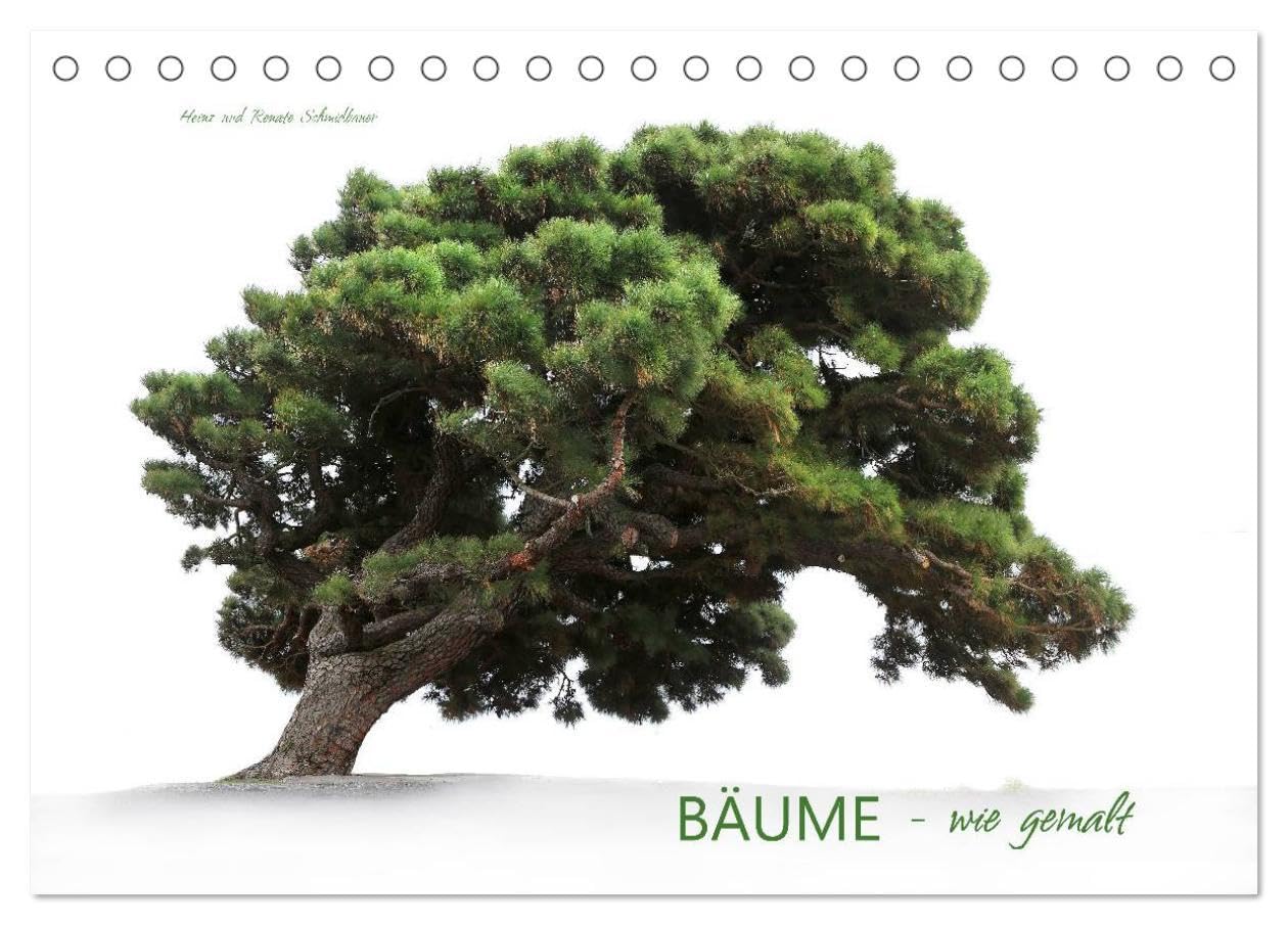 BÄUME - wie gemalt (Tischkalender 2026 DIN A5 quer), CALVENDO Monatskalender: Verschiedene Baumarten, meist im Nebel fotografiert sehen aus als wären sie von einem Künstler gemalt. (CALVENDO Natur) Photography