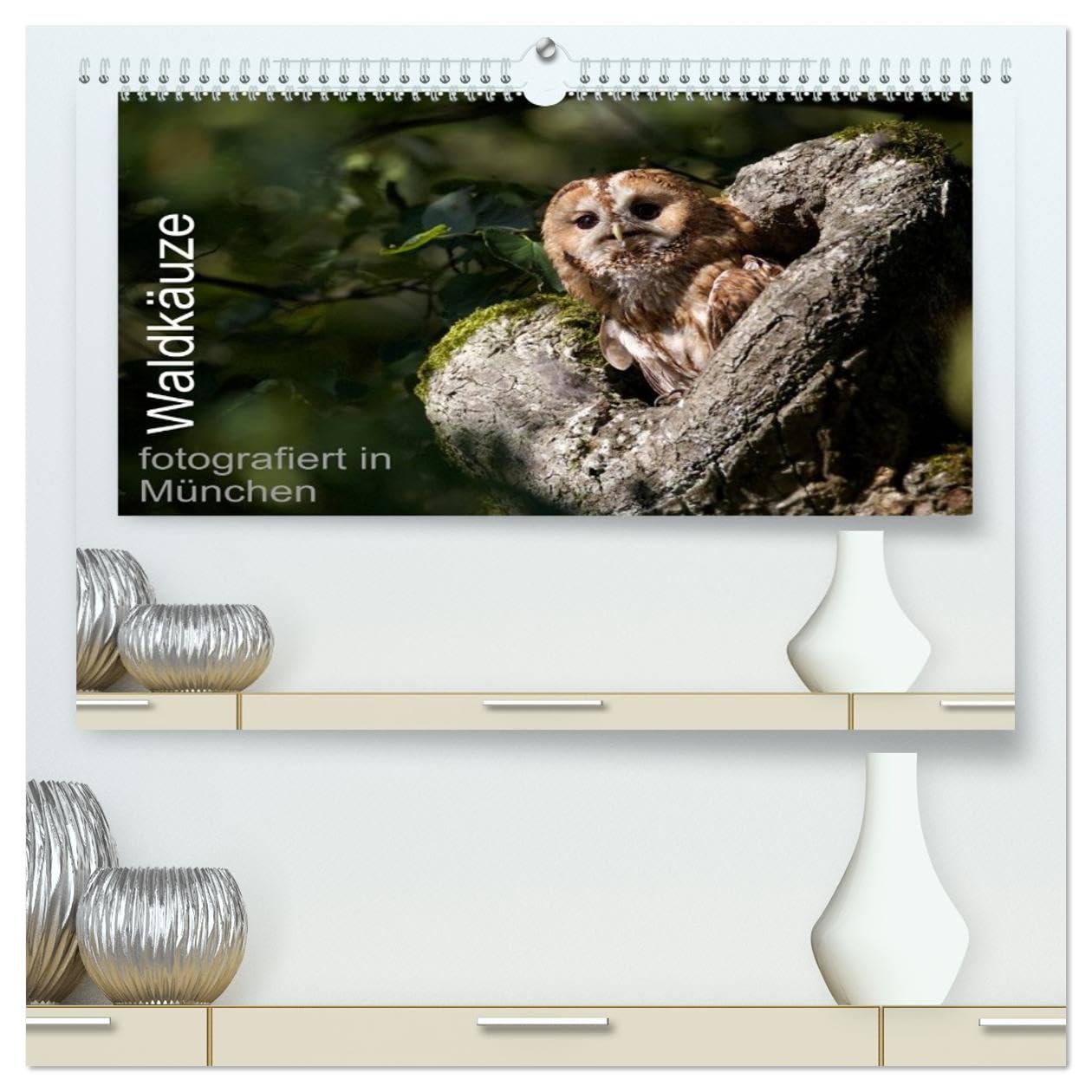Waldkäuze, fotografiert in München (hochwertiger Premium Wandkalender 2026 DIN A2 quer), Kunstdruck in Hochglanz Natural Sciences