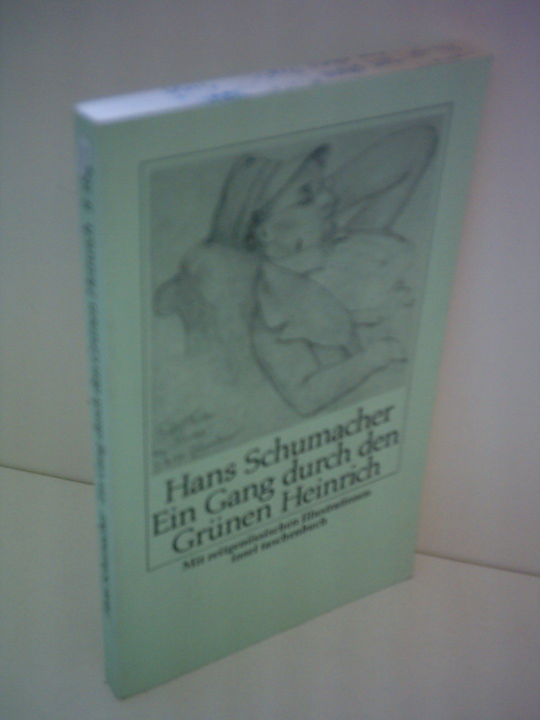 Hans Schumacher: Ein Gang durch den Grünen Heinrich Books